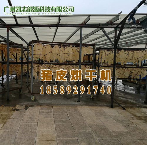 豬皮烘干設備與鞋帽批發行業的專業廠家推薦